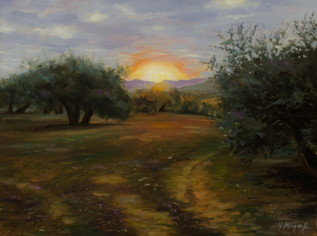 Sunset among olive trees by artist Jose Blanco